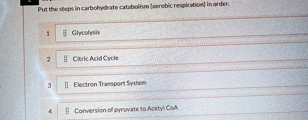 Put the steps in carbohydrate catabolism (aerobic respiration) in order.
1	:: Glycolysis
2	:: Citric Acid Cycle
3	:: Electron Transport System
4	:: Conversion of pyruvate to Acetyl CoA