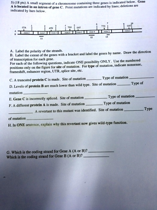 solved-5-18-pts-sma-itcc-indicated-below-genc-segttent-of-a