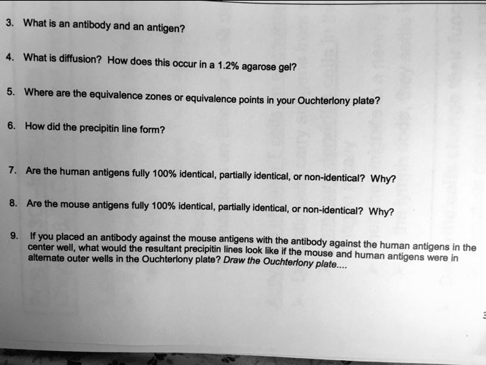 SOLVED What Is an antibody and an antigen? What is diffusion? How does
