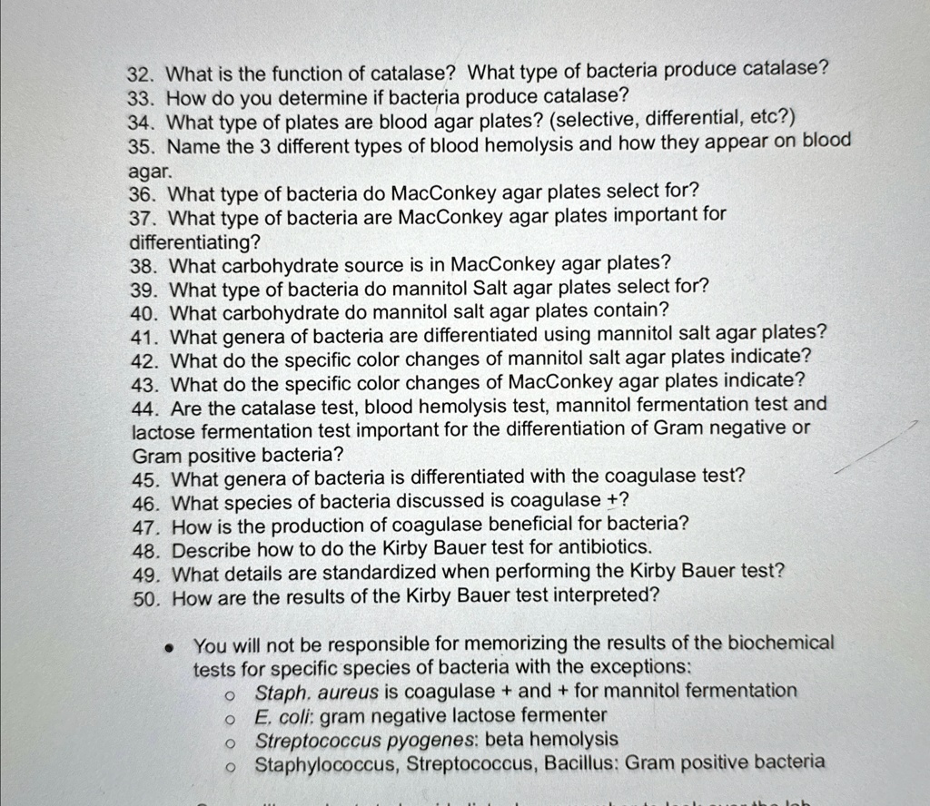 micro bio lab - sg catalase test questions flashcards... What is the function of catalase? What type of bacteria produce ...