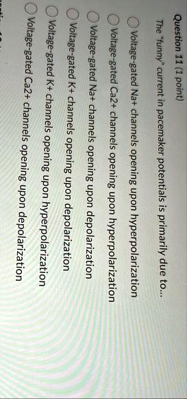 question 11 1 point the funny current in pacemaker potentials is ...