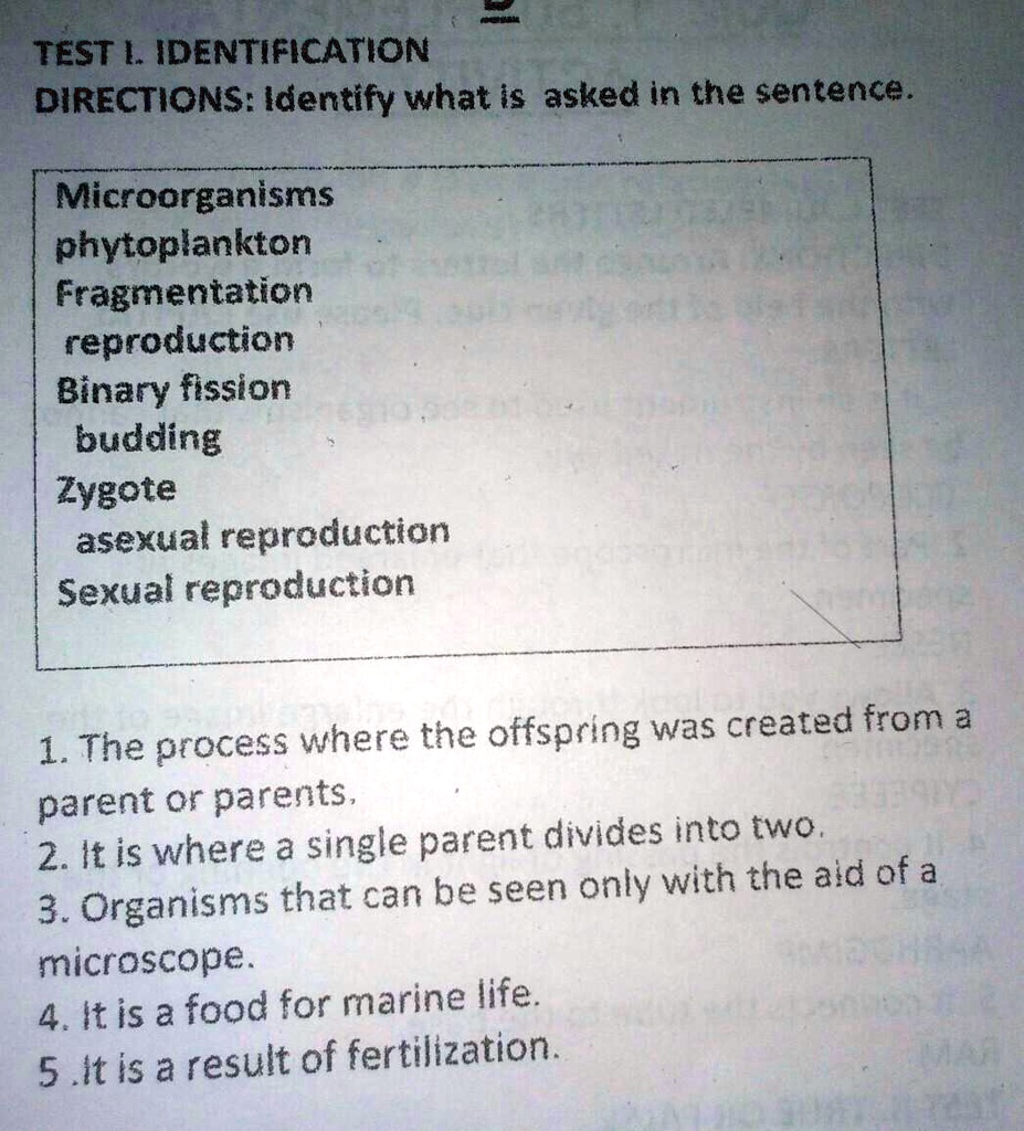 SOLVED DIRECTIONS Identify what is asked in the sentence