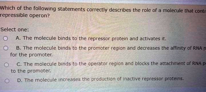 Solved:which Of The Following Statements Correctly Describes The Role Of A  Molecule That Conti Repressible Operon? Select One: A. The Molecule Binds  To The Repressar Protein And Activates It The Molecule Binds Solved:which Of The Following Statements Correctly Describes The Role Of A  Molecule That Conti Repressible Operon? Select One: A. The Molecule Binds  To The Repressar Protein And Activates It The Molecule Binds