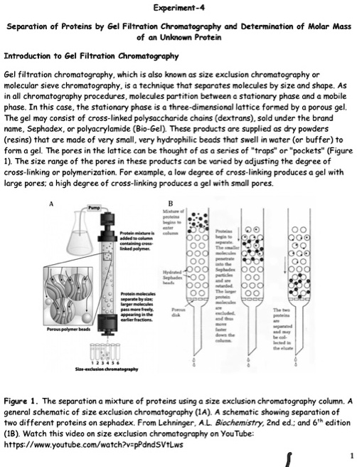 gel filtration chromatography experiment