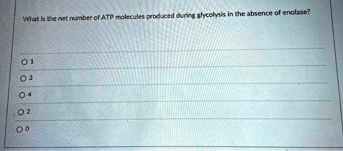 atp produced during glycolysis