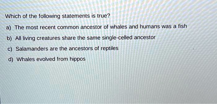 SOLVED: Which of the following statements is true? a) The most recent