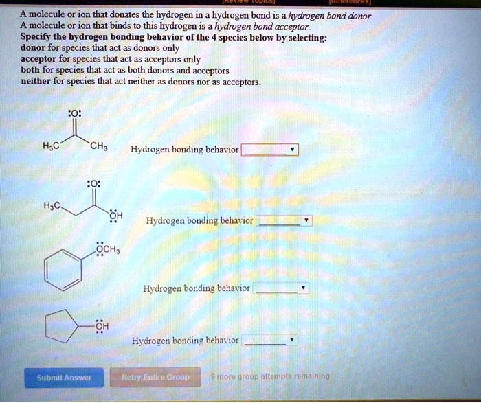 SOLVED: A moleculc or ion that donates the hydrogen in a hydrogen bond ...