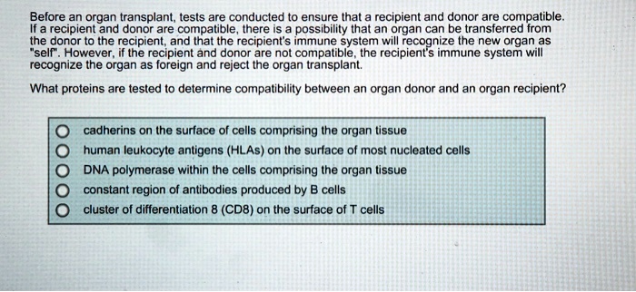 Before an organ transplant, tests are conducted to ensure that a recipient and donor are compatible. If a recipient and donor are compatible, there is a possibility that an organ can be transferred from the donor to the recipient, and that the recipient's immune system will recognize the new organ as "self". However, if the recipient and donor are not compatible, the recipient's immune system will recognize the organ as foreign and reject the organ transplant.

What proteins are tested to determine compatibility between an organ donor and an organ recipient?

cadherins on the surface of cells comprising the organ tissue
human leukocyte antigens (HLAs) on the surface of most nucleated cells
DNA polymerase within the cells comprising the organ tissue
constant region of antibodies produced by B cells
cluster of differentiation 8 (CD8) on the surface of T cells