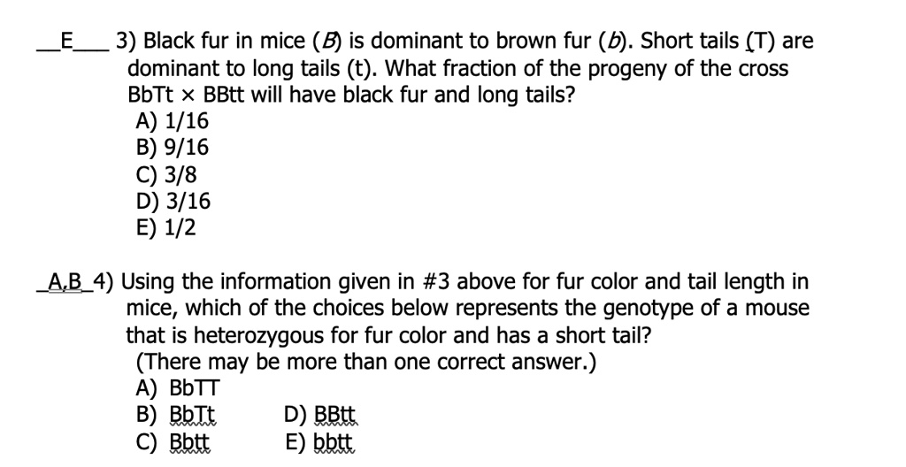 3 black fur in mice b is dominant to brown fur b short tails t are