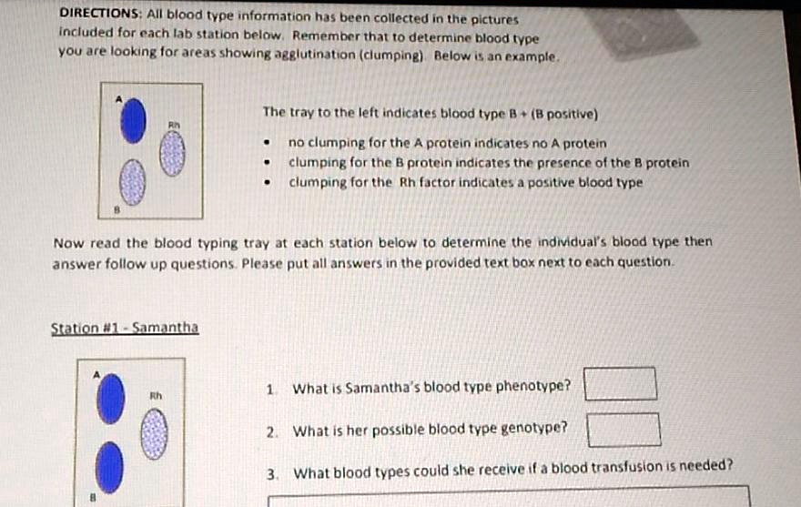 SOLVED: DIRECTIONS: All blood type information has been collected