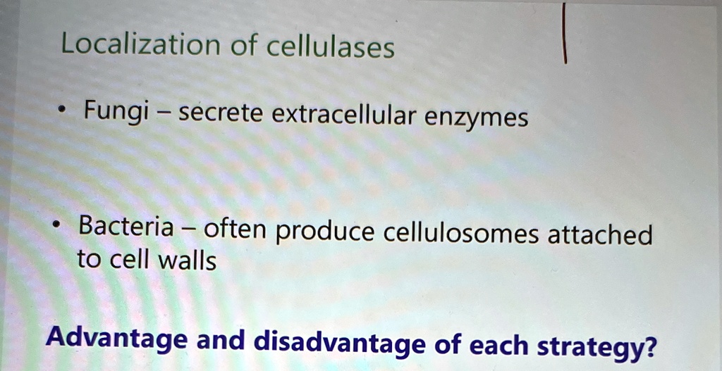 localization of cellulases fungi secrete extracellular enzymes bacteria