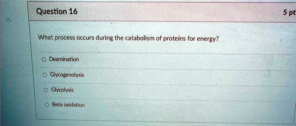 Question 16
What process occurs during the catabolism of proteins for energy?
Deamination
Glycogenolysis
Glycolysis
Beta oxidation
5 pt.