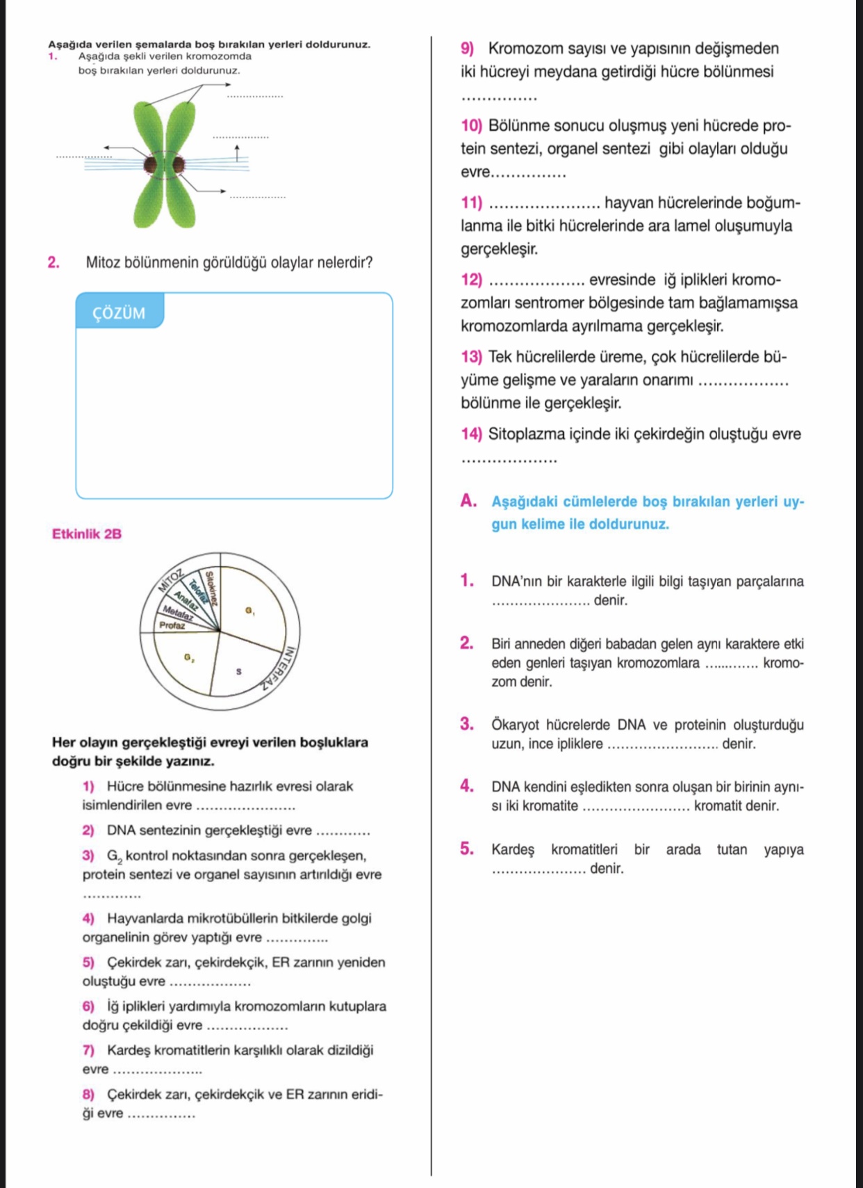 SOLVED: A?a??da Verilen ?emalarda Bo? B?rak?lan Yerleri Doldurunuz. 1 ...