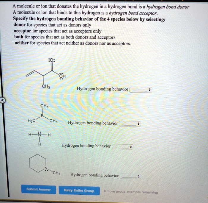 Solved A Molecule Or Ion That Donates The Hydrogen In Hydrogen Bond Is