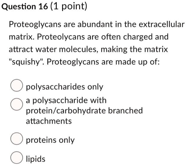 Question 16 (1 point)

Proteoglycans are abundant in the extracellular matrix. Proteolycans are often charged and attract water molecules, making the matrix "squishy". Proteoglycans are made up of:

polysaccharides only
a polysaccharide with protein/carbohydrate branched attachments
proteins only
lipids