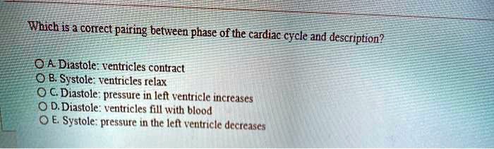 Which is a correct pairing between phase of the cardiac cycle and description?
A. Diastole: ventricles contract
B. Systole: ventricles relax
C. Diastole: pressure in left ventricle increases
D. Diastole: ventricles fill with blood
E. Systole: pressure in the left ventricle decreases