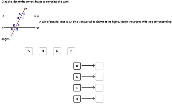 SOLVED: Dreg the tiles the correct boxes camplete the palrs: pair of ...