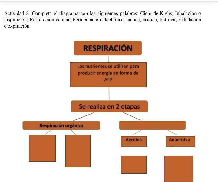 SOLVED: necesito ayuda porfavor Actividad 8. Completa el diagrama con ...