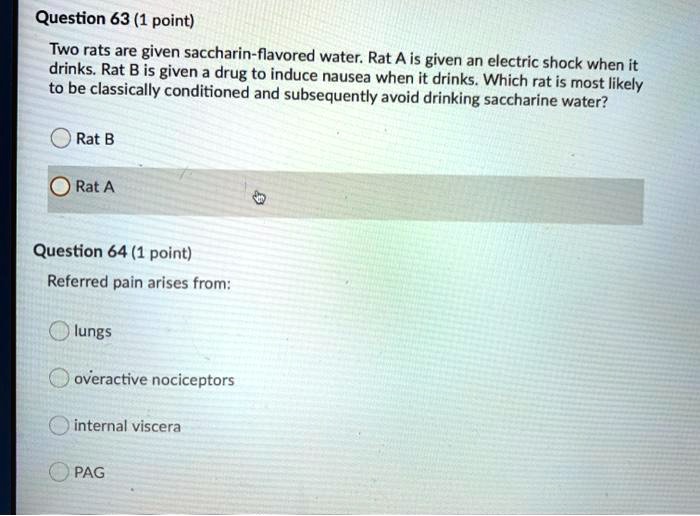 SOLVED Question 63 (1 point) Two rats are given saccharinflavored