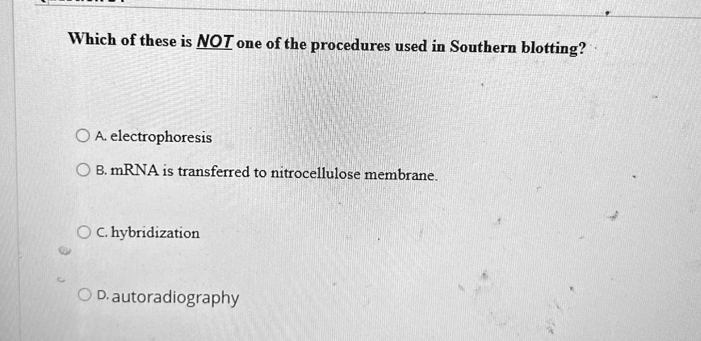 SOLVED: Which of these is NOT one of the procedures used in Southern ...