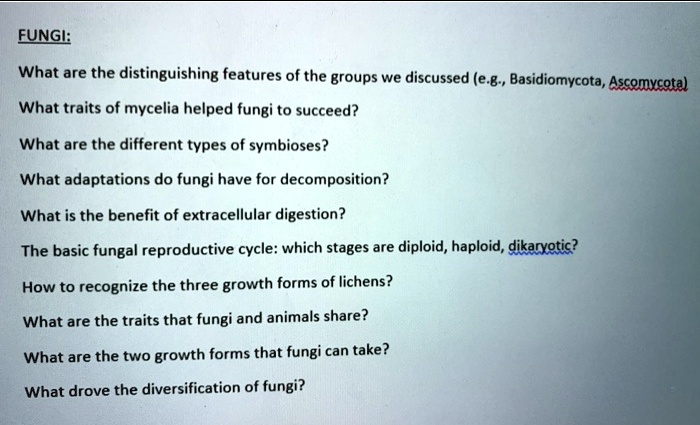 FUNGI:

What are the distinguishing features of the groups we discussed (e.g., Basidiomycota, Ascomycota)

What traits of mycelia helped fungi to succeed?

What are the different types of symbioses?

What adaptations do fungi have for decomposition?

What is the benefit of extracellular digestion?

The basic fungal reproductive cycle: which stages are diploid, haploid, dikaryotic?

How to recognize the three growth forms of lichens?

What are the traits that fungi and animals share?

What are the two growth forms that fungi can take?

What drove the diversification of fungi?