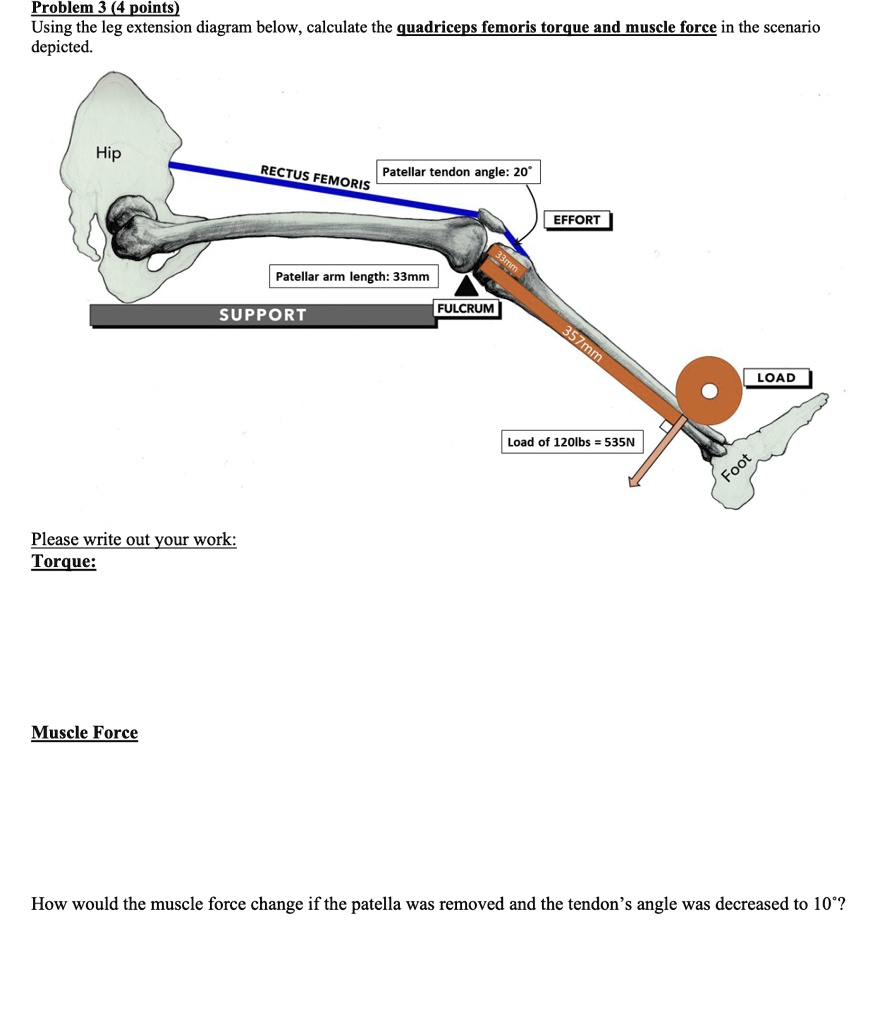 SOLVED Problem 3 (4 points) Using the leg extension diagram below