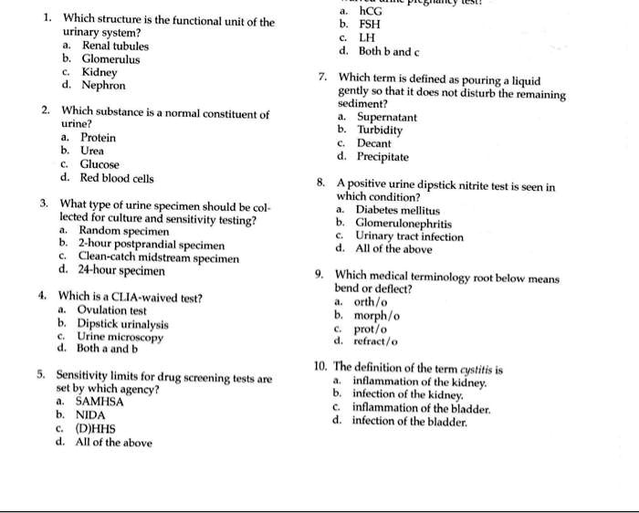 SOLVED Which structure is the functional unit of the urinary system