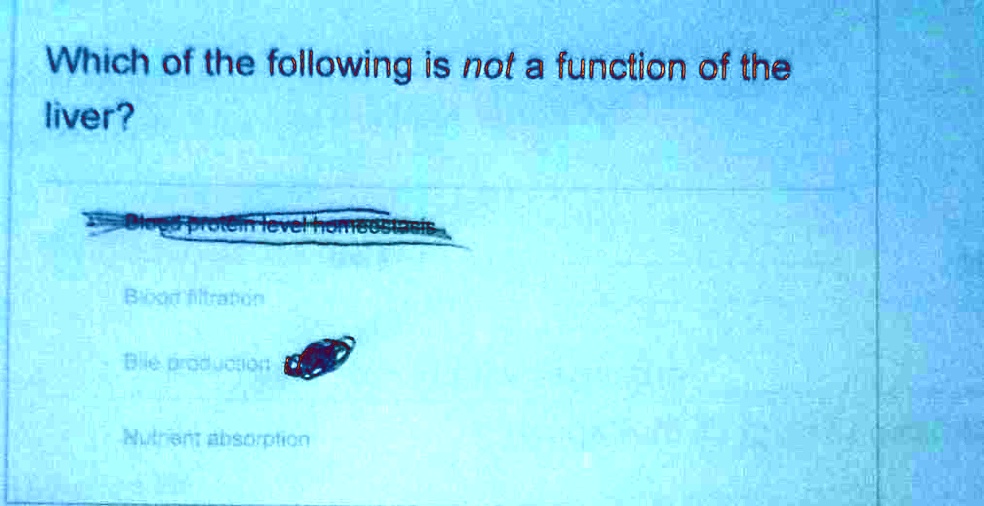 Which of the following is not a function of the liver?
Blood protein level homeostasis
Blood filtration
Bile production
Nutrient absorption