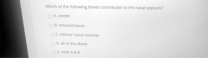 Which of the following bones contributes to the nasal septum?
A. vomer
B. ethmoid bone
C. inferior nasal conchae
D. all of the above
E. both A     B