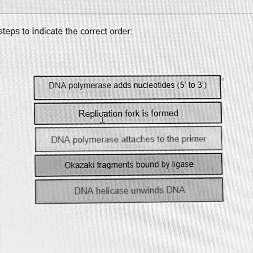 SOLVED "Order of DNA Replication Steps to indicate the correct order