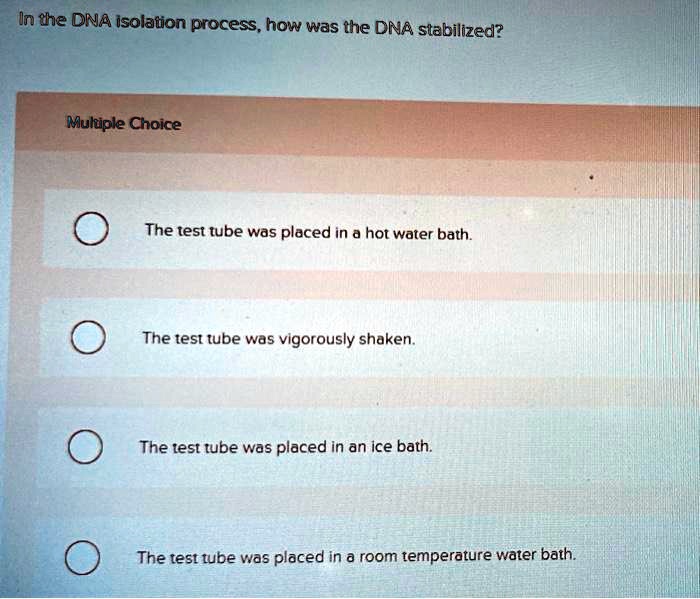 SOLVED In the DNA isolation process, how was the DNA stabilized