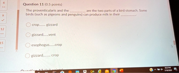 Question 11 (0.5 points)
The proventicularis and the  are the two parts of a bird stomach. Some birds (such as pigeons and penguins) can produce milk in their .
crop...... gizzard
gizzard......vent
esophogus......crop
gizzard....... crop