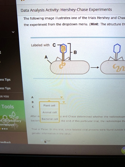 in the hershey and chase experiment radioactively labeled quizlet