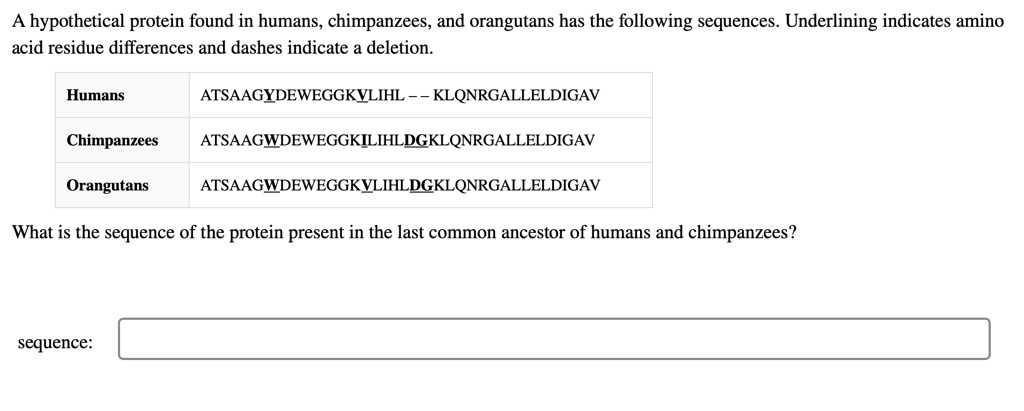 SOLVED: A hypothetical protein found in humans, chimpanzees and