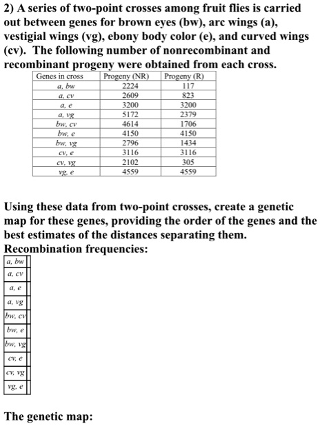 2) A series of two-point crosses among fruit flies is carried out between genes for brown eyes (bw), arc wings (a), vestigial wings (vg), ebony body color (e), and curved wings (cv). The following number of nonrecombinant and recombinant progeny were obtained from each cross.
Genes in cross Progeny (NR) Progeny (R)
a, bw 2224 117
a, cv 2609 823
a, e 3200 3200
a, vg 5172 2379
bw, cv 4614 1706
bw, e 4150 4150
bw, vg 2796 1434
cv, e 3116 3116
cv, vg 2102 305
vg, e 4559 4559
Using these data from two-point crosses, create a genetic map for these genes, providing the order of the genes and the best estimates of the distances separating them.
Recombination frequencies:
a, bw
a, cv
a, e
a, vg
bw, cv
bw, e
bw, vg
cv, e
cv, vg
vg, e
The genetic map: