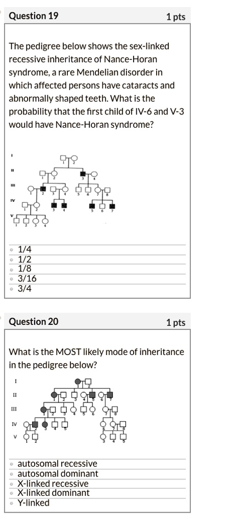 Solved Question 19 1pts The Pedigree Below Shows The Sex Linked