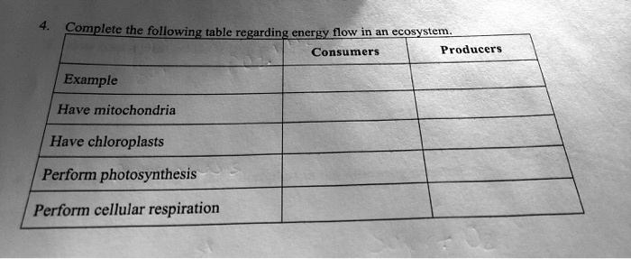 Solved:complete _The Following Table Regarding_Energy Flow_In An Ecosystem  Consumers Producers Example Have Mitochondria Have Chloroplasts Perform  Photosynthesis Perform Cellular Respiration Solved:complete _The Following Table Regarding_Energy Flow_In An Ecosystem  Consumers Producers Example Have Mitochondria Have Chloroplasts Perform  Photosynthesis Perform Cellular Respiration