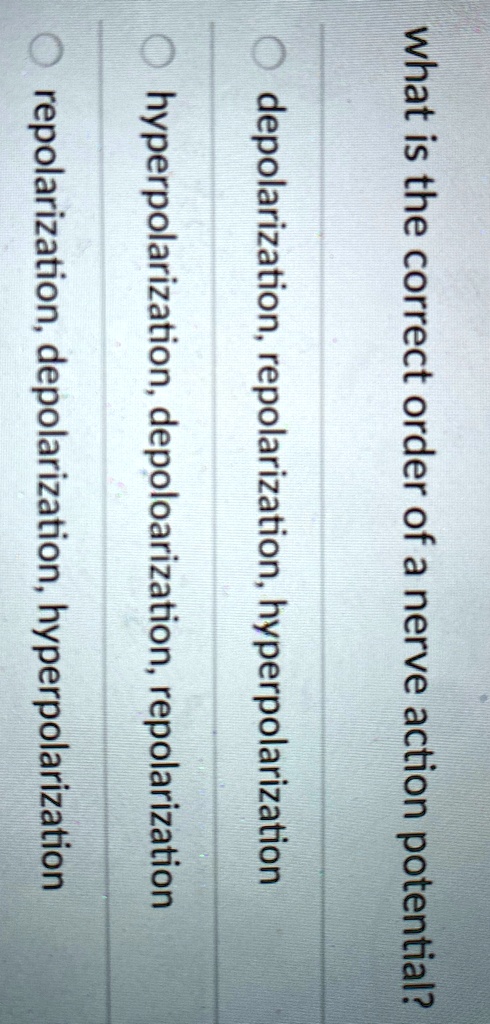 what is the correct order of a nerve action potential? depolarization ...