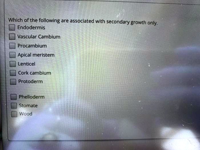 Which of the following are associated with secondary growth only.
Endodermis
Vascular Cambium
Procambium
Apical meristem
Lenticel
Cork cambium
Protoderm
Phelloderm
Stomate
Wood