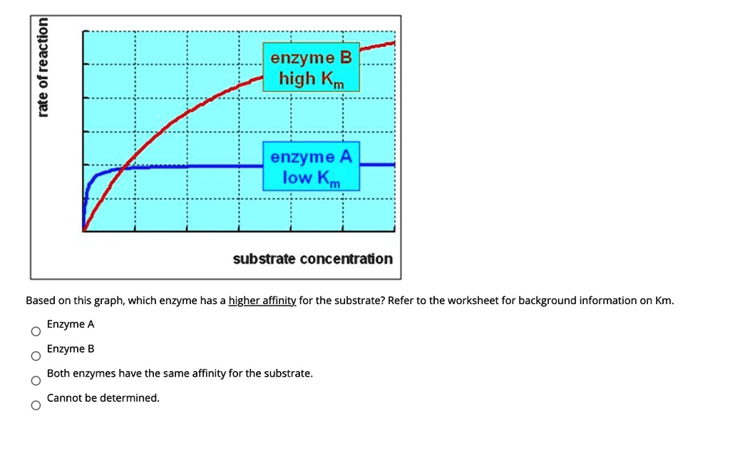 1 rate enzyme B high Km enzyme A low Km substrate concentration Based