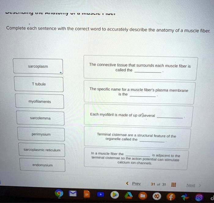 solved-lgoci-y-n-rnurdi-n-complete-each-sentence-with-the-correct-word-to-accurately-describe