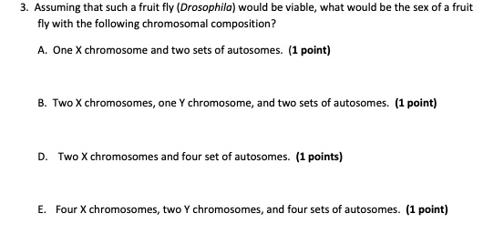 3. Assuming that such a fruit fly (Drosophila) would be viable, what would be the sex of a fruit fly with the following chromosomal composition?

A. One X chromosome and two sets of autosomes. (1 point)

B. Two X chromosomes, one Y chromosome, and two sets of autosomes. (1 point)

D. Two X chromosomes and four set of autosomes. (1 points)

E. Four X chromosomes, two Y chromosomes, and four sets of autosomes. (1 point)