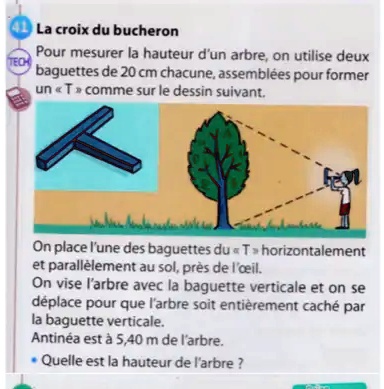 Mesure de la hauteur d'un arbre: Croix du bucheron & Dendromètre
