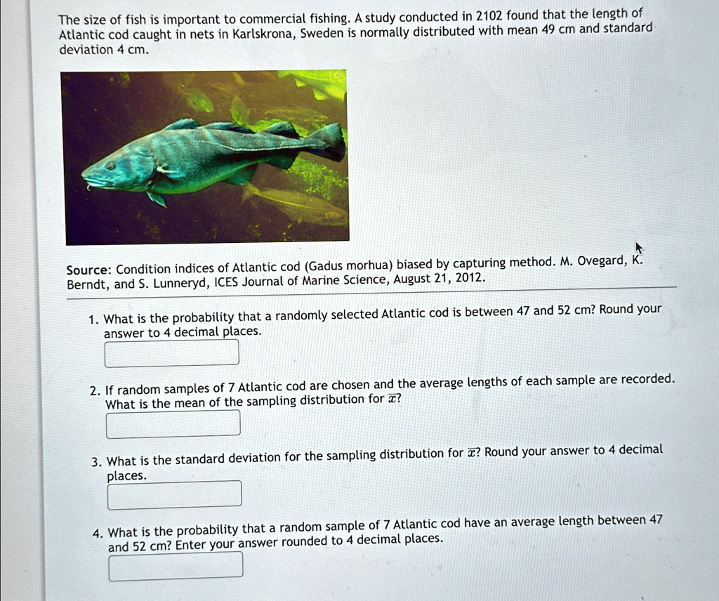 The size of fish is important to commercial fishing. A study conducted in 2102 found that the length of
Atlantic cod caught in nets in Karlskrona, Sweden is normally distributed with mean 49 cm and standard
deviation 4 cm.
Source: Condition indices of Atlantic cod (Gadus morhua) biased by capturing method. M. Ovegard, K.
Berndt, and S. Lunneryd, ICES Journal of Marine Science, August 21, 2012.
1. What is the probability that a randomly selected Atlantic cod is between 47 and 52 cm? Round your
answer to 4 decimal places.
2. If random samples of 7 Atlantic cod are chosen and the average lengths of each sample are recorded.
What is the mean of the sampling distribution for x̅?
3. What is the standard deviation for the sampling distribution for x̅? Round your answer to 4 decimal
places.
4. What is the probability that a random sample of 7 Atlantic cod have an average length between 47
and 52 cm? Enter your answer rounded to 4 decimal places.
