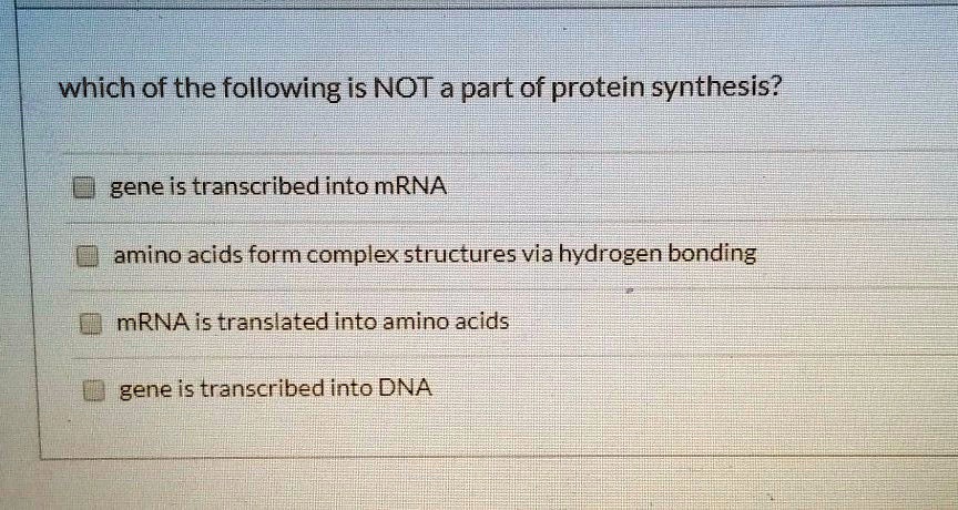 Which Of The Following Is Not Part Of Protein Synthesis