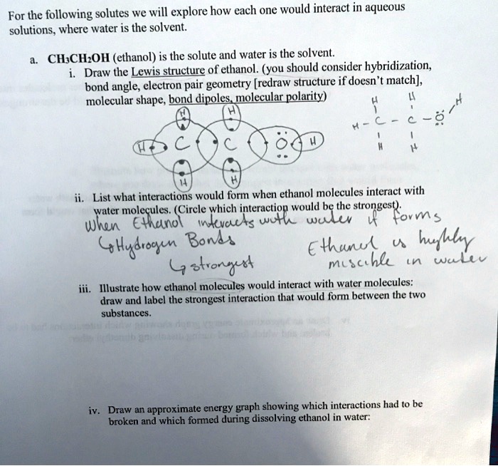 Draw and label a water molecule
