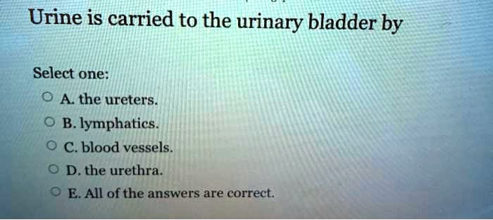 SOLVED: Urine is carried to the urinary bladder by Select one: A the ...