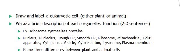 Draw and label a eukaryotic cell (either plant or animal)
Write a brief description of each organelles function (2-3 sentences)
Ex. Ribosome synthesizes proteins
Nucleus, Nucleolus, Rough ER, Smooth ER, Ribosome, Mitochondria, Golgi apparatus, Cytoplasm, Vesicle, Cytoskeleton, Lysosome, Plasma membrane
Name three differences between plant and animal cells