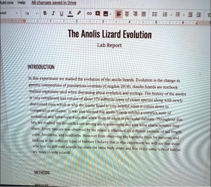 Add-ons Help All changes saved in Drive
vald
14
BIUA
2
43
3
The Anolis Lizard Evolution
Lab Report
5
16
INTRODUCTION
In this experiment we studied the evolution of the anolis lizards. Evolution is the change in
genetic composition of populations overtime (Congdon 2018). Anolis lizards are textbook
studied organisms used when discussing about evolution and ecology. The history of the anoles
is very complexed and consist of about 379 different types of cxtant specics along with newly
discovered ones which is why the anolis lizard is very helpful when it comes down to
comparative evolution. It was also learned that anolis lizards exhibit a complex suite of
ecological and behavioral traits that allow them to adapt to particular habitats. Throughout this
lab, we studied the diversification among anole ecomorphs and also what characteristics they
share. Every species was observed by the island it inhabited, its different patterns of tail length,
color, forelimbs, and hindlimbs. However from observing phylogenetic trees for patterns, and
looking at the different types of habitats I believe that in this experiment we will see that those
who live on different islands but share the same body shape and live in the same type of habitat
are more closely related.
METHODS
RESULTS