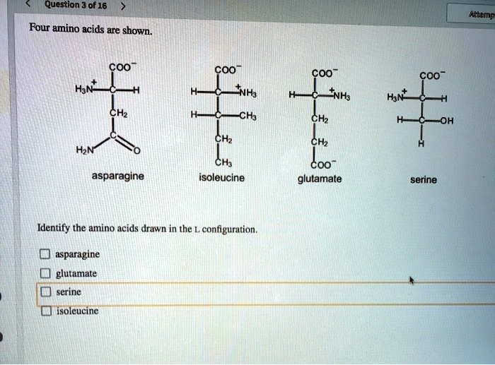 SOLVED Question 3 of 16 Four amino acids are shown. COO Havn COO NH3